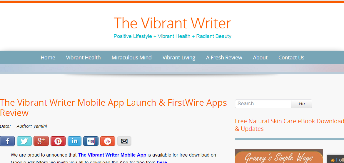 What our Client has to say about us – Review from Vibrant Writer
